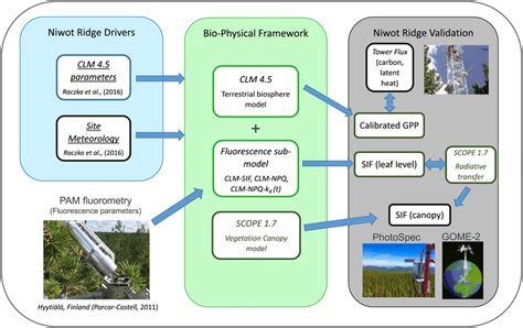 Overview of methodological workflow for model development, calibration,... | Download Scientific ...