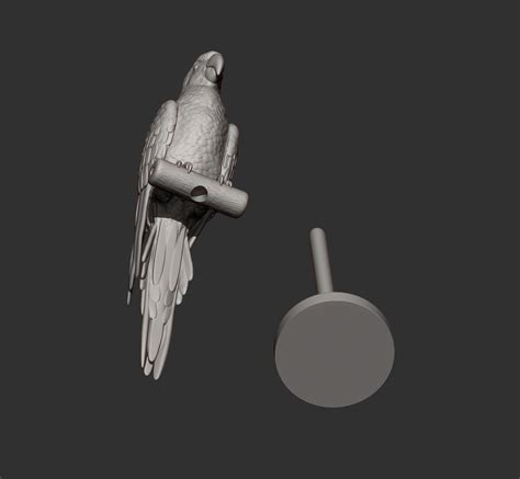 STL file Ara parrot 3D printed model 🦜・3D printable model to download・Cults