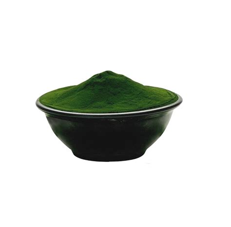 Chlorella Powder | Plant Extract Supplier