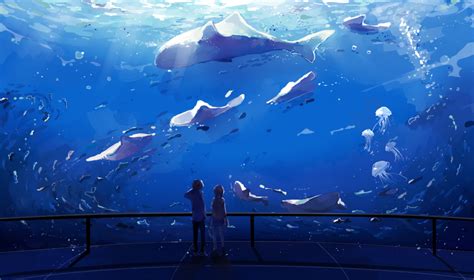 aquarium | Underwater art, Aquarium drawing, Anime scenery