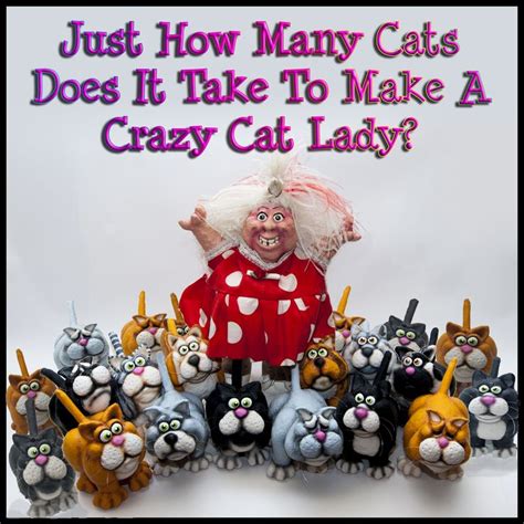 345 Best images about Crazy Cat Ladies on Pinterest | I love cats, Lady ...