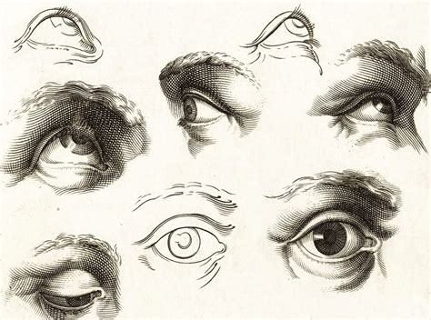 How to Sketch Eyes correctly in 9 simple Steps