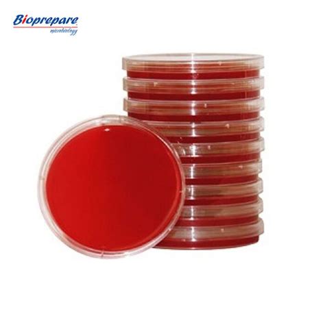 Bioprepare Blood Agar Plates (Horse Blood) 10 pcs