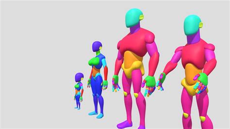 2283 - Geoffrey Flabat Body proportions - Download Free 3D model by ...