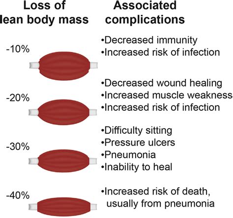 Complications of lean body mass (muscle) loss. | Download Scientific Diagram