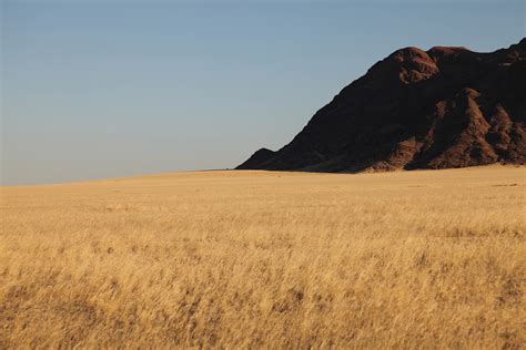 Namibian Landscape on Behance