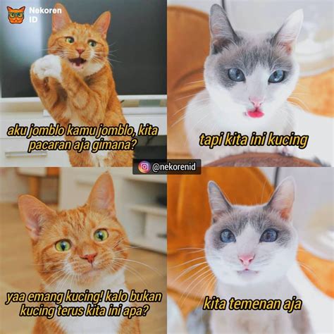 10 Meme Obrolan Kucing Gombal Ini Endingnya Gagal Romantis