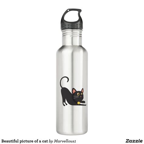 Beautiful picture of a cat stainless steel water bottle