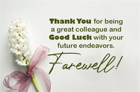 Farewell Messages For Colleagues And Coworkers - 2024