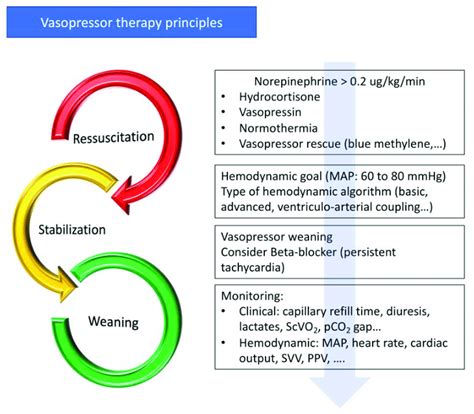 Principles of vasopressor treatment. MAP-mean arterial pressure; ScVO 2 ...