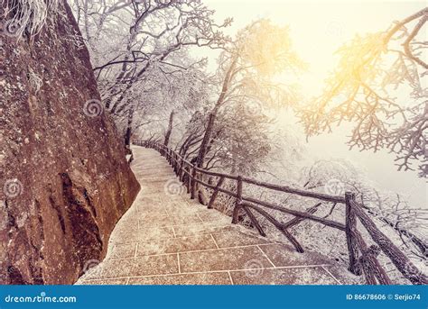 Winter Sunrise Landscape in Huangshan National Park. Stock Photo - Image of crown, cold: 86678606