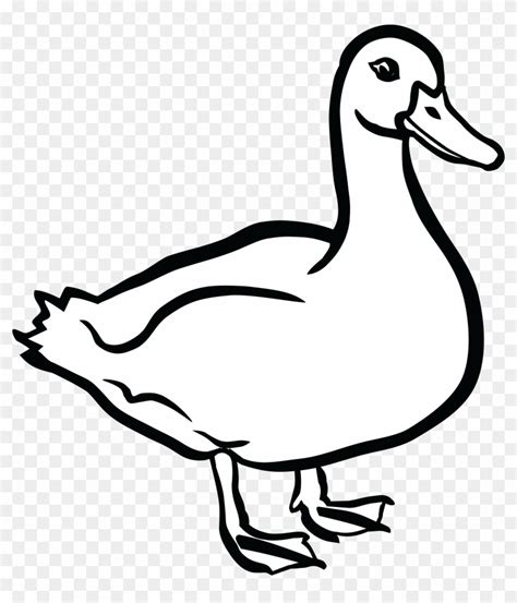 White Duck Clipart Stock Vector (Royalty Free) 17487421 | Shutterstock ...