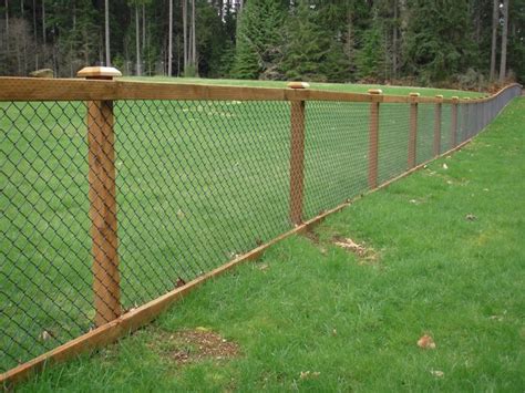 Nice way to dress up the typical chain link fencing. | Fence, Modern fence, Backyard fences