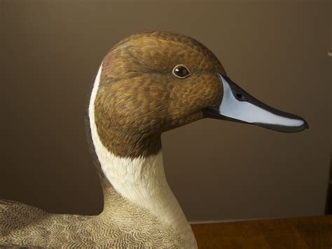 Duck Decoy Carving Patterns Free Web Our Gunning Decoy Pattern Series Can Be Used By Carvers Of ...