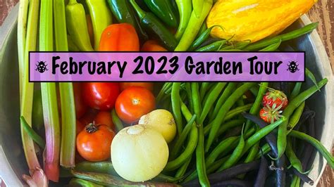 Garden Tour February 2023 - YouTube