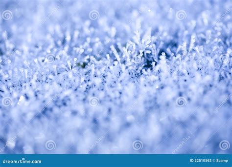 Heavy Winter Frost Background Stock Photo - Image of abstract, winter ...