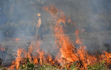 Texas panhandle wildfire now the largest in state history. See photos, videos of fires