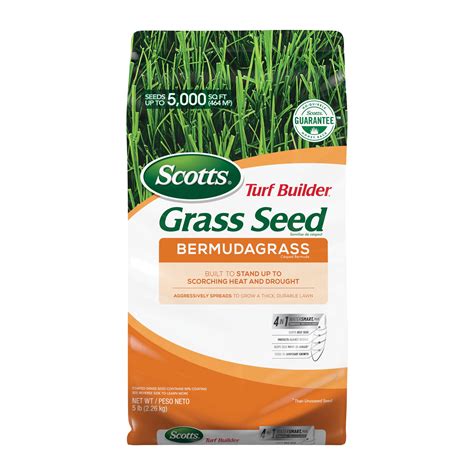 Bermuda Medium Grass Seed at Lowes.com