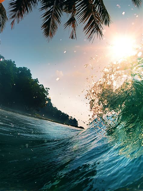 Waves Sea Ocean Beach Palm Trees Wallpaper - [1536x2048]