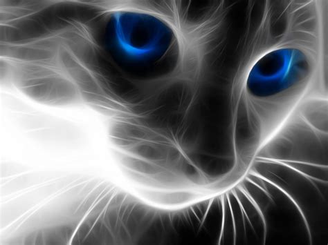 Cat and light | Cat with blue eyes, Wild cats, Cat wallpaper