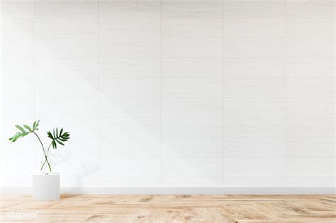 Plant against a white wall mockup | free image by rawpixel.com | Frames ...