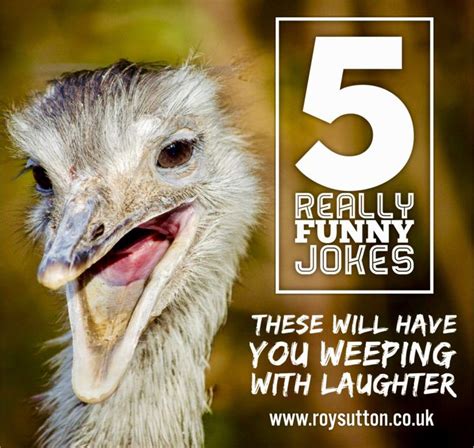 6 really funny jokes that will certainly make you smile | Really funny joke, Funny jokes, Corny ...