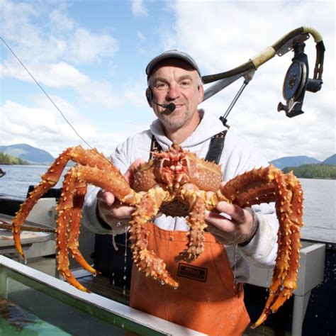 Alaskan King Crab Live | Hong Kong Online Seafood Delivery | Sonatural.hk