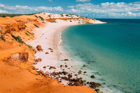 FULL GUIDE - 9 Things To Do In Shark Bay, Western Australia