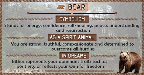 Bear Spirit Animal, Spirit Bear, Animal Spirit Guides, Bear Meaning ...