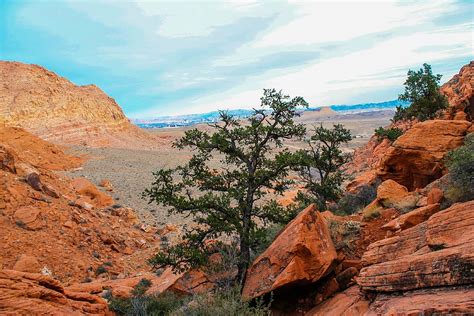 HD wallpaper: utah, red rocks, national, park, usa, desert, erosion, mountain | Wallpaper Flare