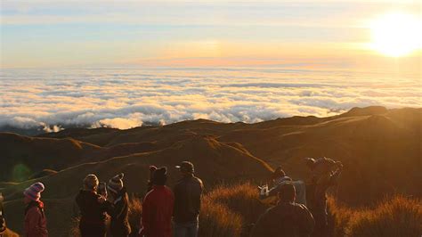 Mount Pulag Guide For First-Time Climbers