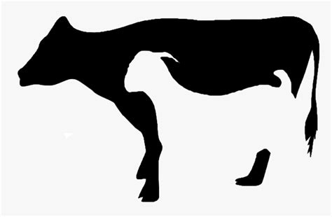 Cattle Clipart Qurbani - Sapi Dan Kambing Png, Transparent Png ...