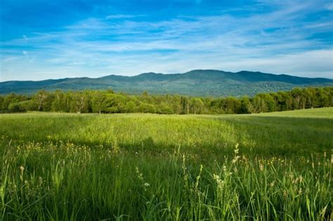 Mountains across a meadow in Stowe VT - Photorator