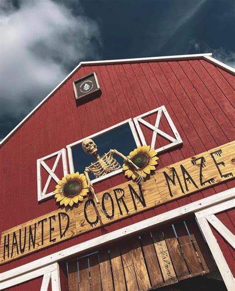 7 Best Places for a Haunted Corn Maze Near Me - Days Out On The Farm