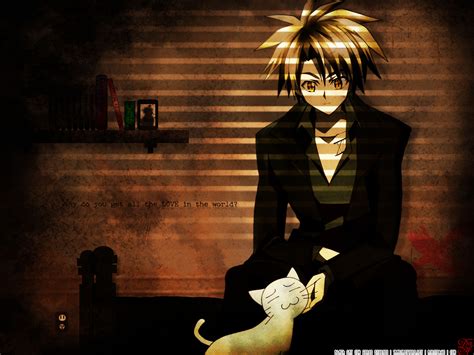 Download Anime Black Cat (Anime) Wallpaper