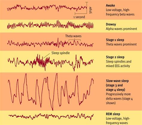 Pin on Falling Asleep Quickly Does Not Mean What You Think It Means