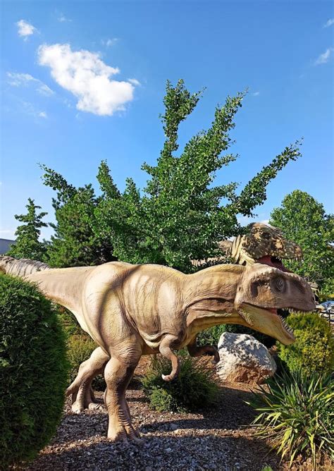 Dinosaur Park, Natural History Museum, Svilajnac, Serbia Stock Photo - Image of history, rock ...