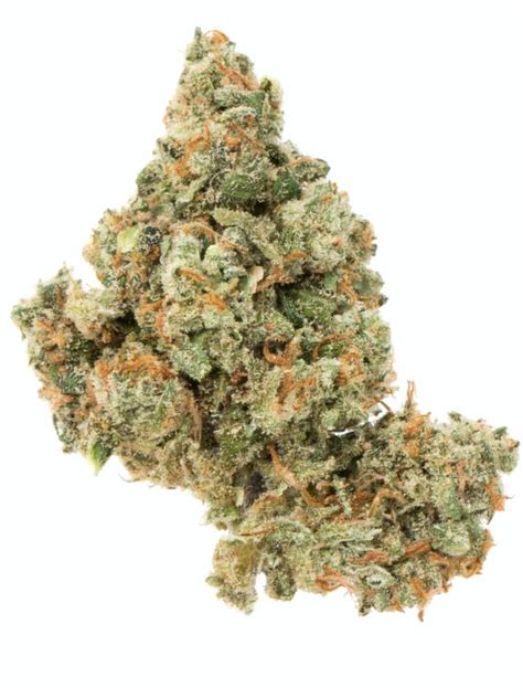 Jack Herer Strain Review - The Lodge Cannabis Denver