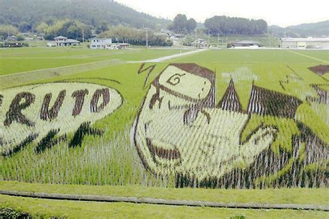 Giant Rice Paddy Artworks Flourish in Japan | Inhabitat - Green Design, Innovation, Architecture ...