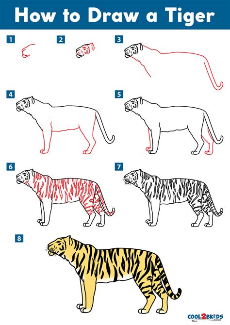 How to Draw a Tiger