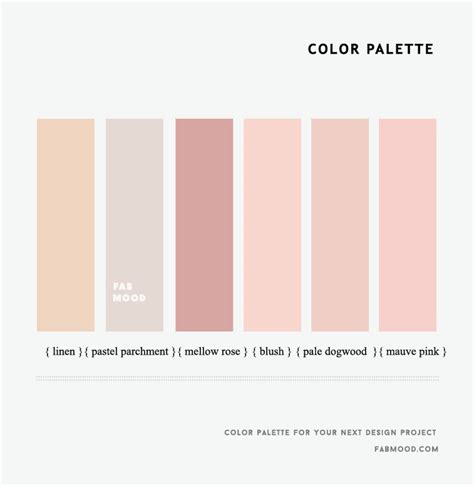Neutral Pink Color Palette Hex Codes - img-plumtree