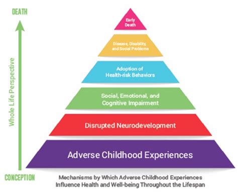 Importance of Trauma-Informed Interventions | Danielle Rousseau