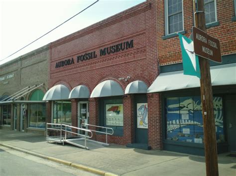 Aurora Fossil Museum - Museums - 400 Main St, Aurora, NC, United States - Phone Number - Yelp