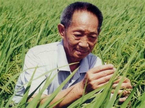 Yuan Longping, scientist symbolising Chinese food security dies at 91 ...