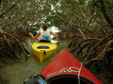 Blue Planet Kayak Eco-Tours - All You Need to Know BEFORE You Go (2024)