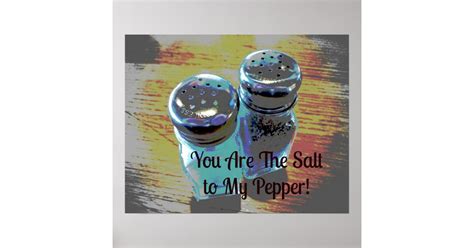 You Are the Salt to My Pepper Poster | Zazzle.com