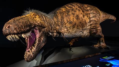 How Did T. rex Get So Big? | AMNH