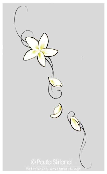 55 Frangipani tattoos ideas | frangipani tattoo, frangipani, tattoos