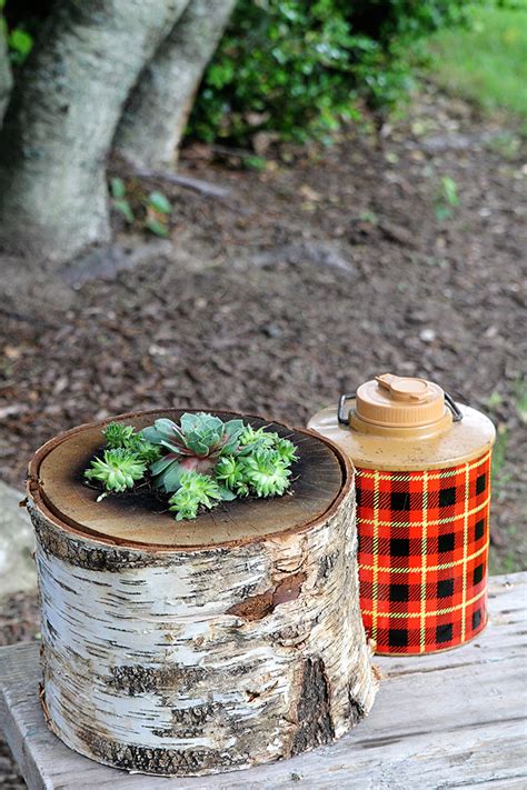 How To Make A Succulent Log Planter - House of Hawthornes
