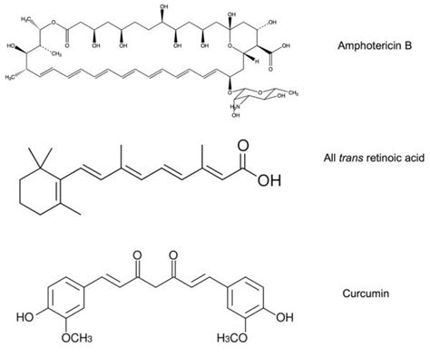 Structure of small hydrophobic molecules. The water insoluble molecules ...